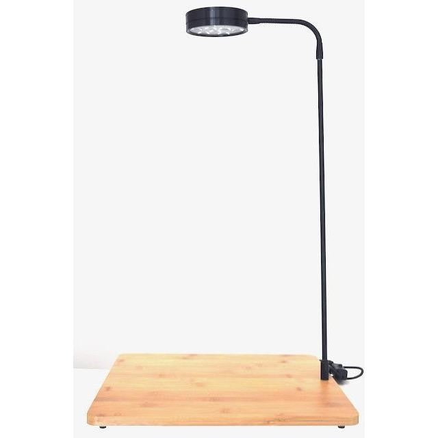 Bioscape LED Landscape Bamboo 9 watt