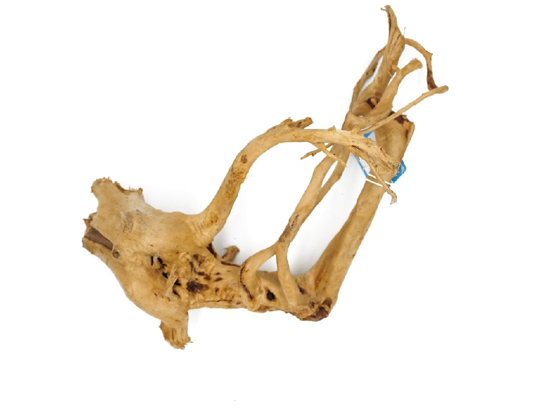 Gold Vine Nano