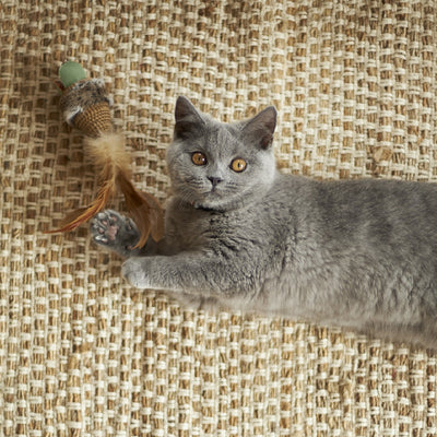 Kazoo Cat Toy Scruffy Mouse