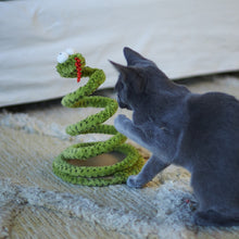 Kazoo Cat Toy Springy Snake