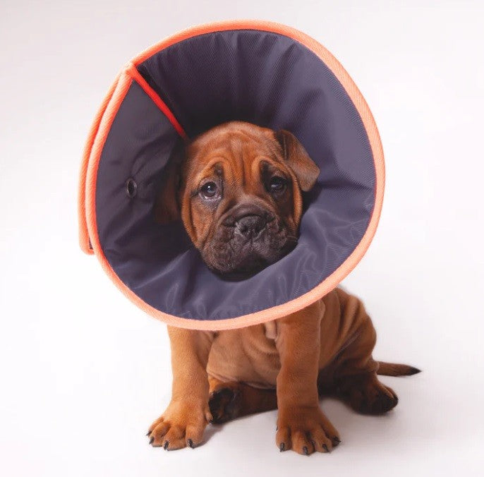 Kazoo Comfy Vet Collar - Small