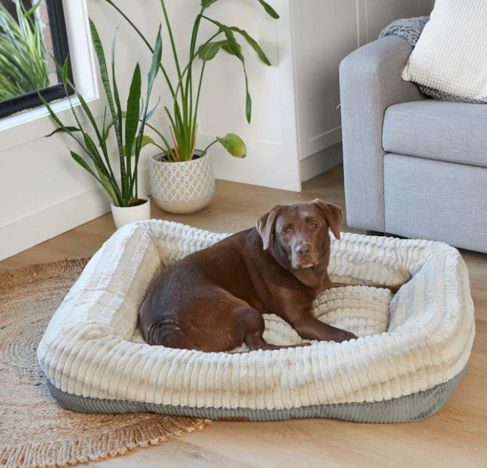 Kazoo Honey Possum Bed - Extra Large