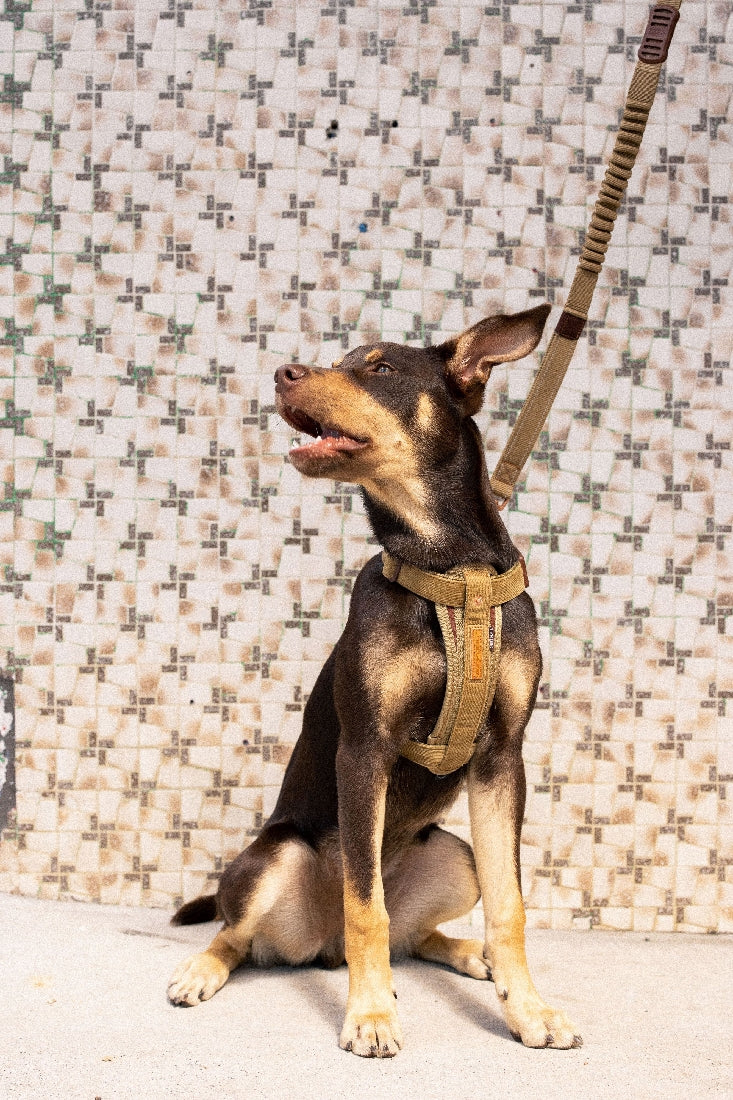 Ezy Dog Harness Chest Plate Corduroy