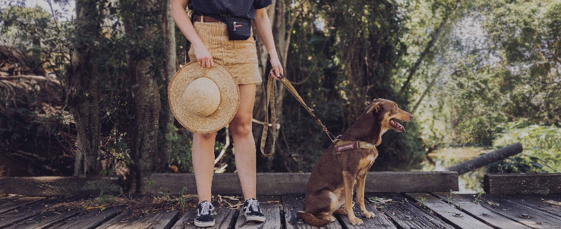 Ezy Dog Harness Quick Fit Corduroy