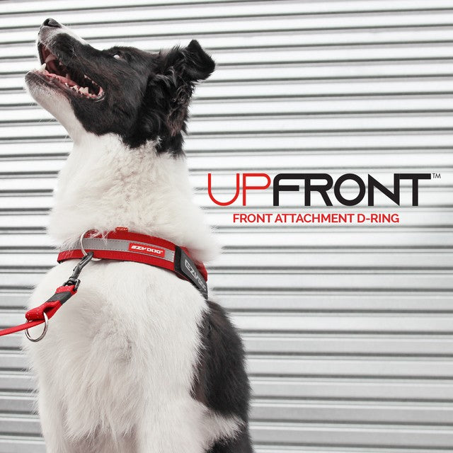 Ezy Dog UpFront D-Ring Accessory 25mm