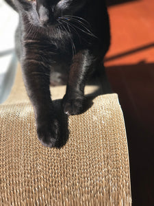 Catit Corrugated Cardboard Cat Scratcher Urban Bench - Catnip included! We Know Pets 
