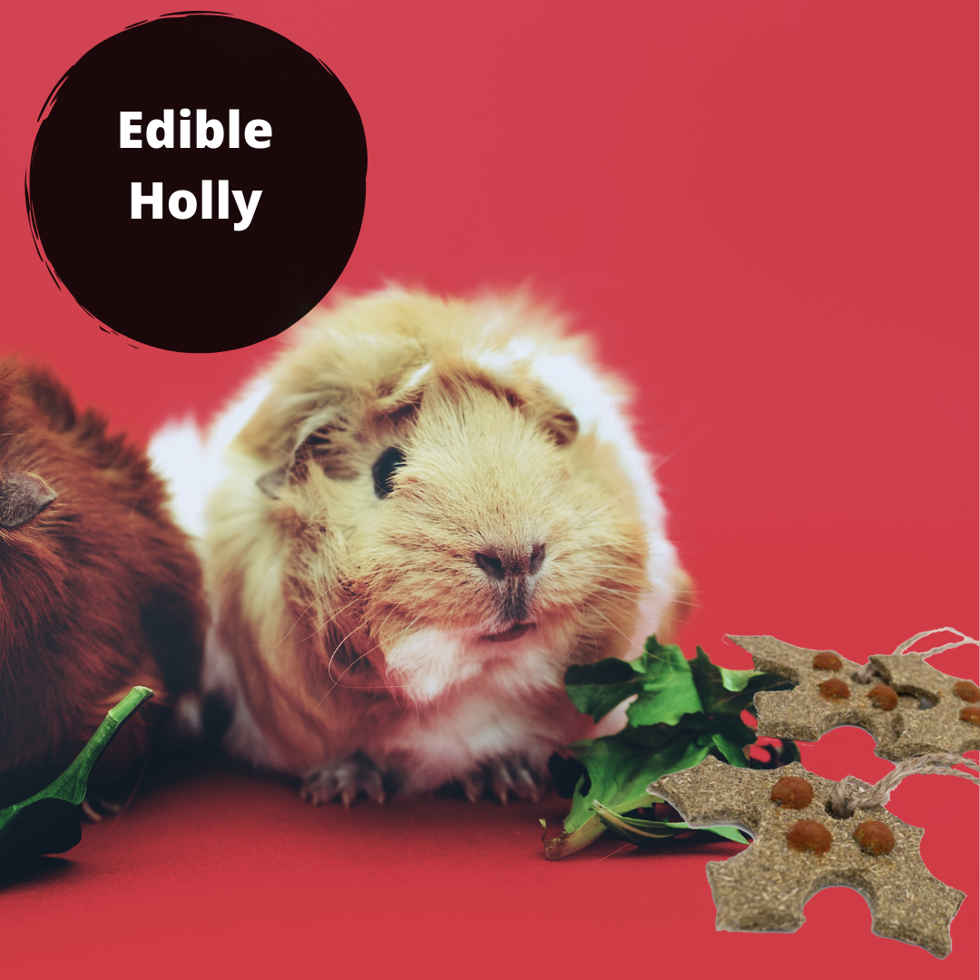 Gnawable Holly Leaves(3Pc)