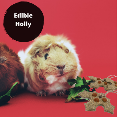 Gnawable Holly Leaves(3Pc)