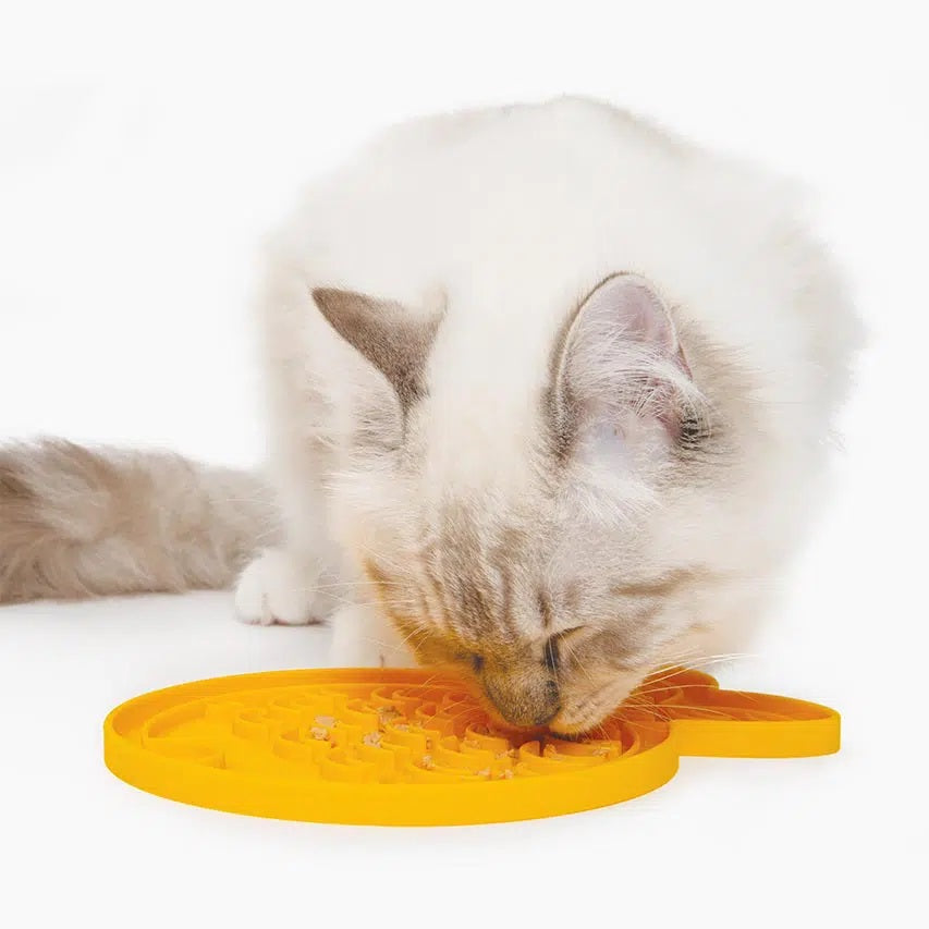Discover the benefits of a lickimat for cats