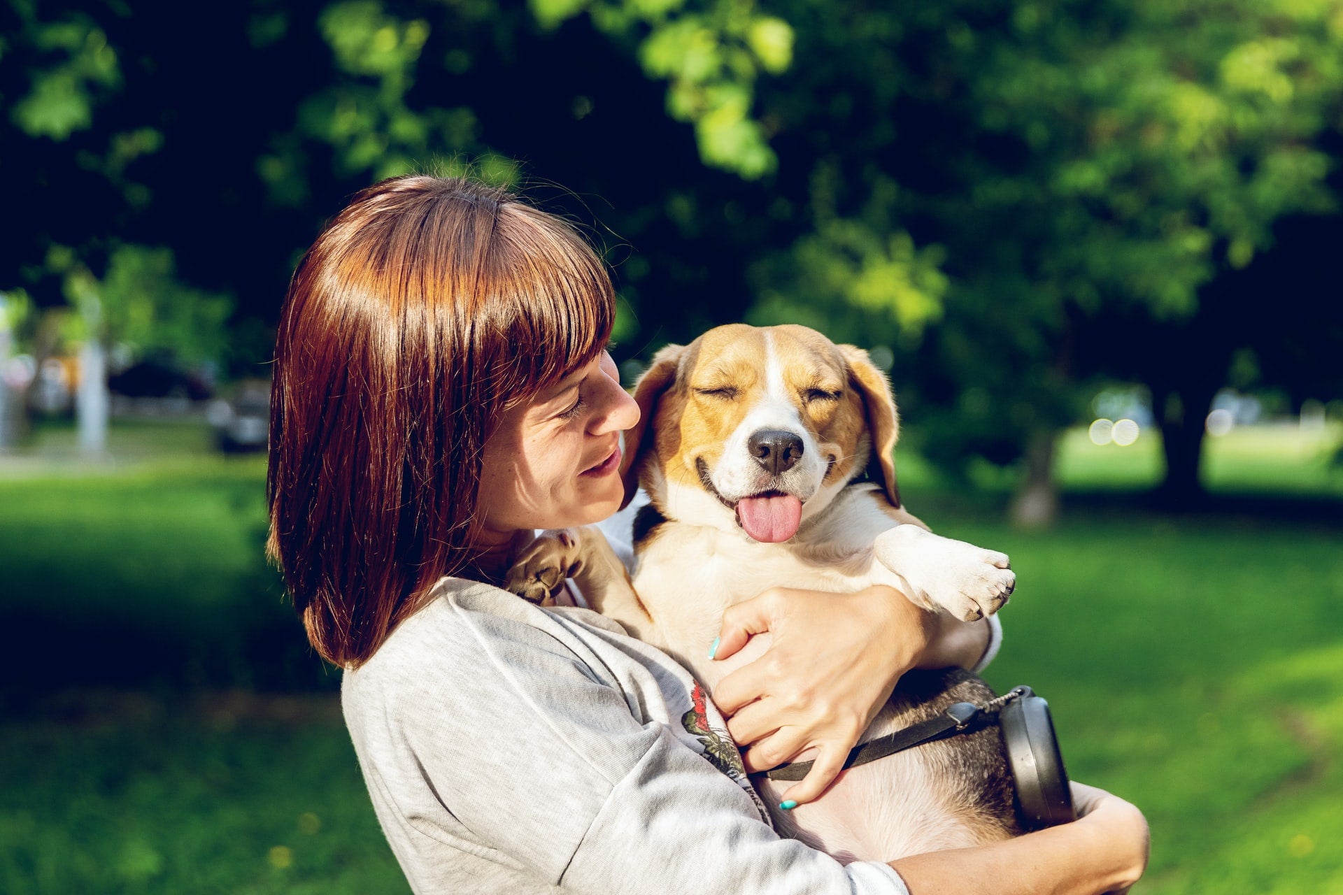 5 easy things you can do to reduce your pets carbon pawprint!