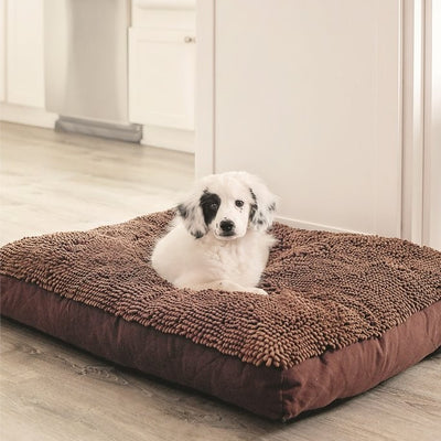 The Science Behind How Much Sleep Dogs Need