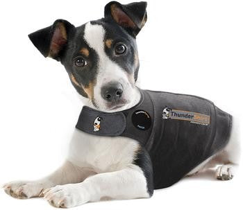 How Thundershirts Calm Anxious Dogs: A Comprehensive Guide
