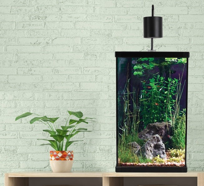 How to Clean Your Aquarium: The Ultimate Guide