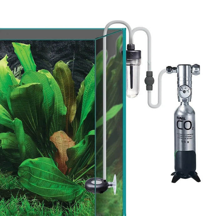 The Ultimate Guide to Setting Up a CO2 Aquarium System for Optimal Plant Growth