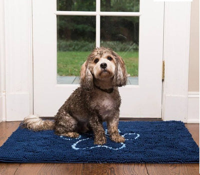 Why the Dirty Dog Doormat is a Must-Have for Pet Owners