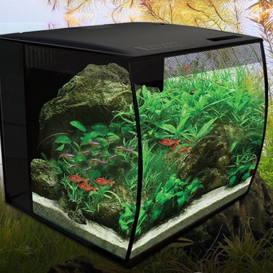 The Complete Guide to Setting Up a Nano Aquarium Fish Tank: Step-by-St ...