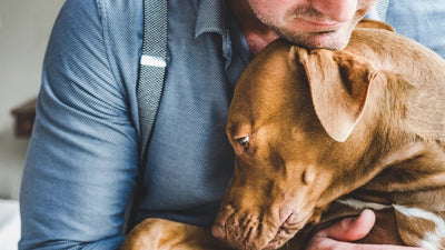 How to Cope with the Loss of a Pet