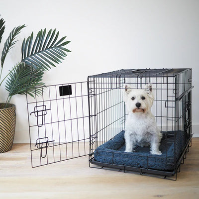 Creating the Perfect Environment for Your Puppy’s First Night in Their Dog Bed