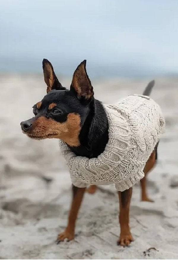 Debunking Common Myths About Dog Coats and Winter Protection