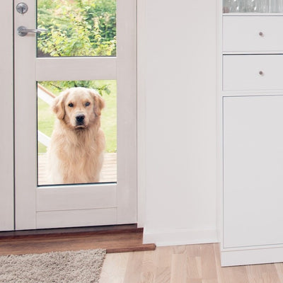 Open the Door to Convenience Why a Wood Door with Dog Door is a Must-Have for Pet Owners