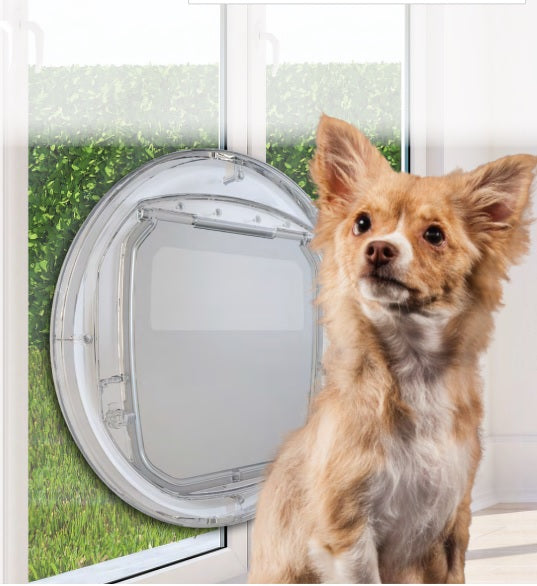 How to train your dog to use a dog door!