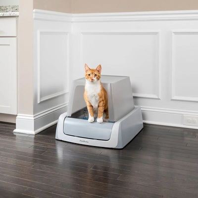 Why the ScoopFree Litter Tray 2nd Generation is a Must-Have for Cat Owners