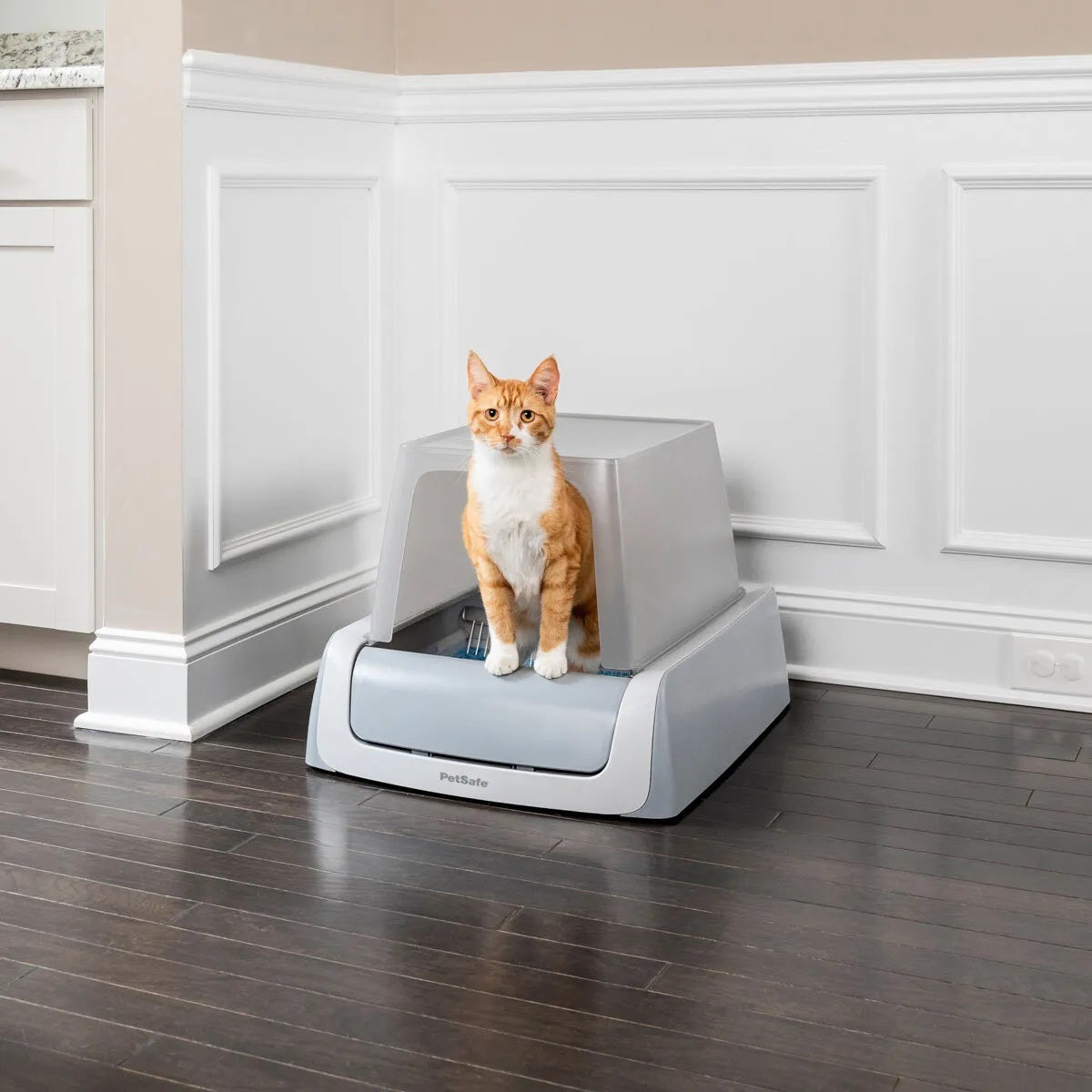 Why the ScoopFree Litter Tray 2nd Generation is a Must-Have for Cat Owners