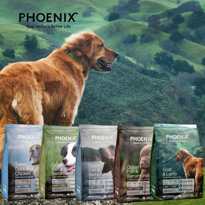 PHOENIX Grain-Free Dog Food