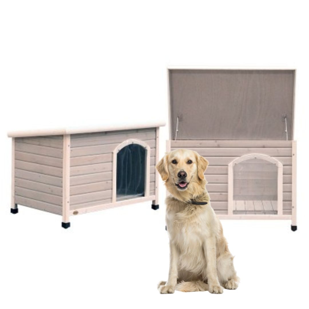5 Simple Steps to Train Your Dog to Love Their Kennel