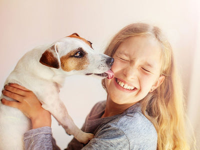 Why Dogs Lick Their Owners