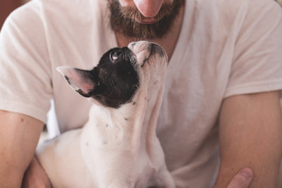 Caring for your pet during Covid