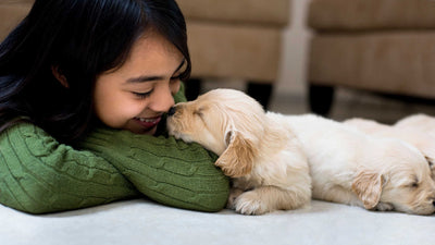 How to Spot and Avoid a Puppy Scam