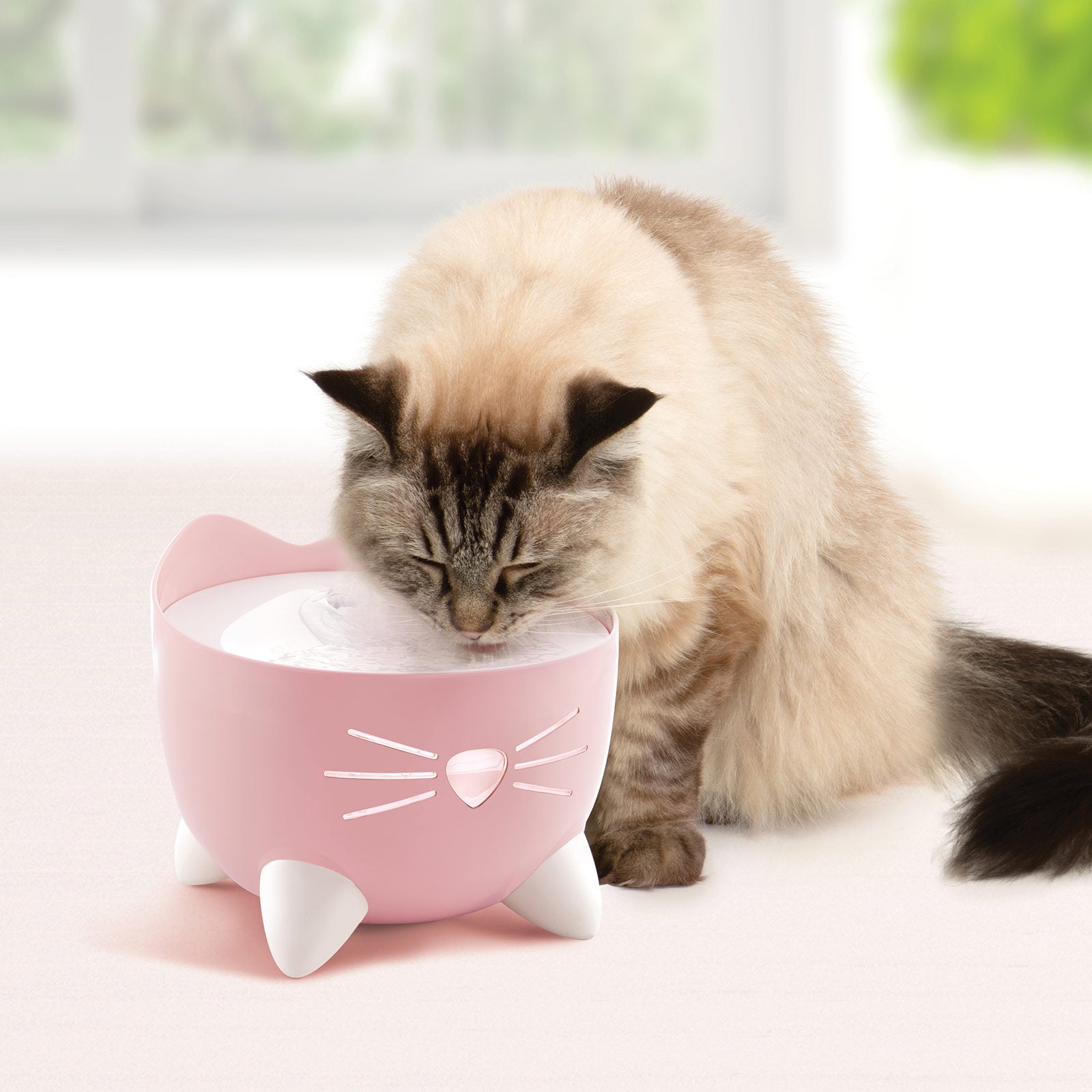 The Advantages of Using a Pet Drinking Fountain Over a Water Bowl