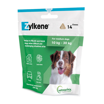 ZYLKENE CHEWS 225MG 14'S