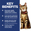 Science Diet Cat Light 3.5kg