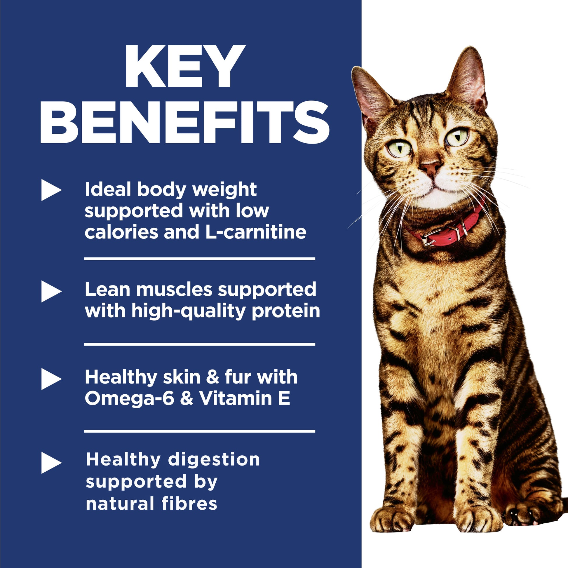 Science Diet Cat Light 3.5kg