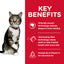 Science Diet Cat Oral Care 4kg