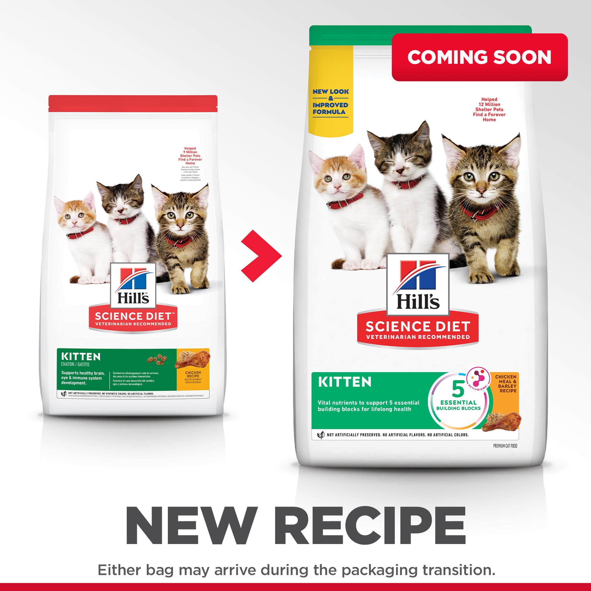 Science Diet Cat Kitten 4kg