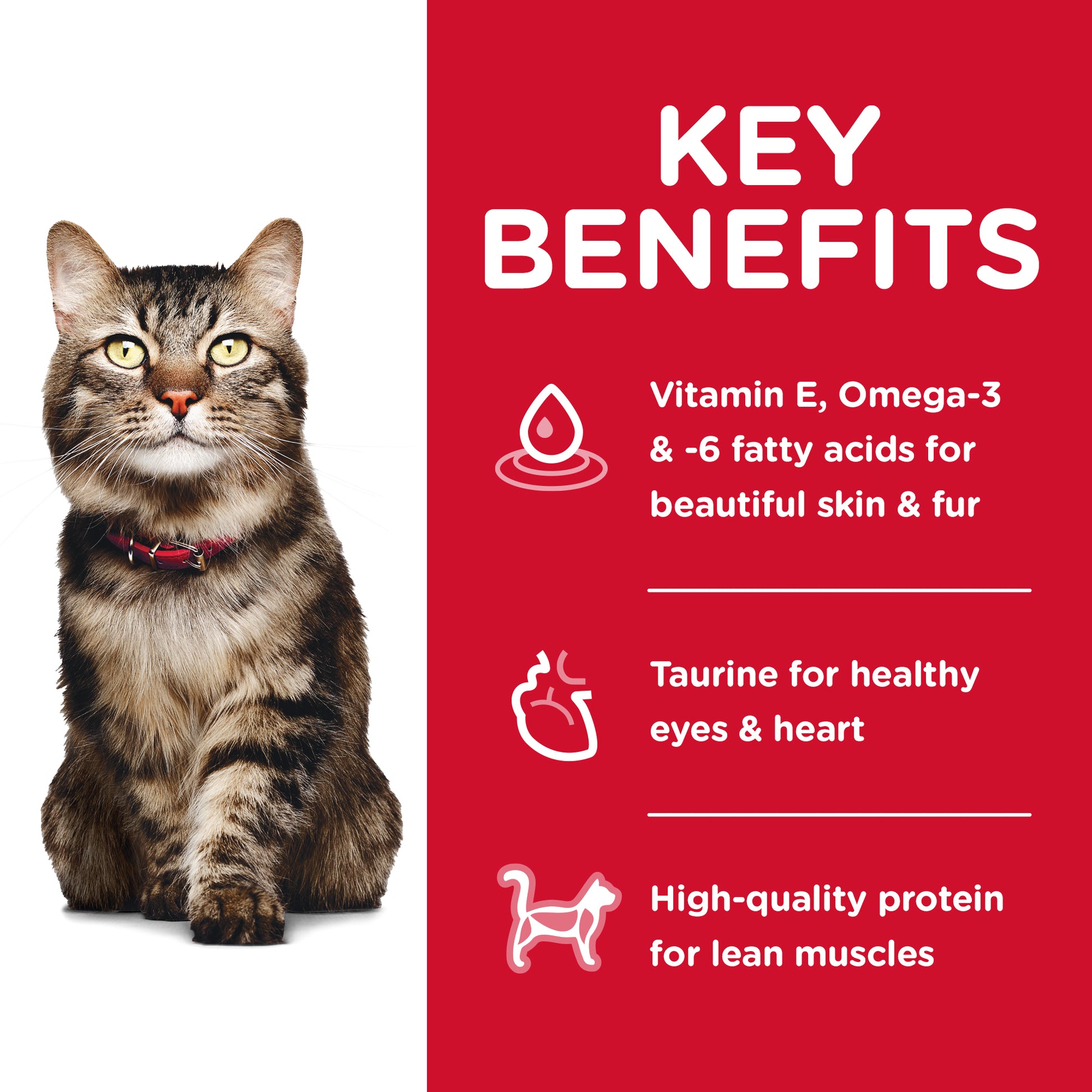 Science Diet Cat Senior Hairball 4kg