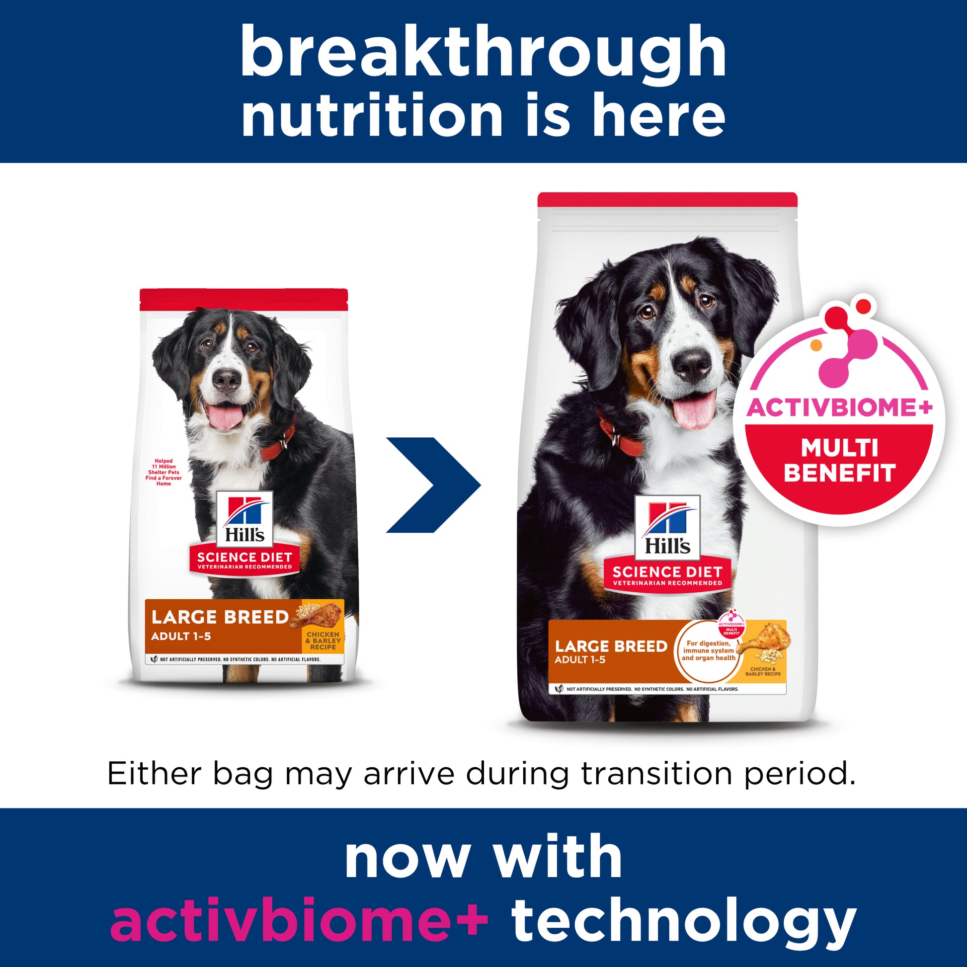 Science Diet Dog Adult Large Breed 12kg