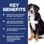 Science Diet Dog Adult Large Breed 12kg