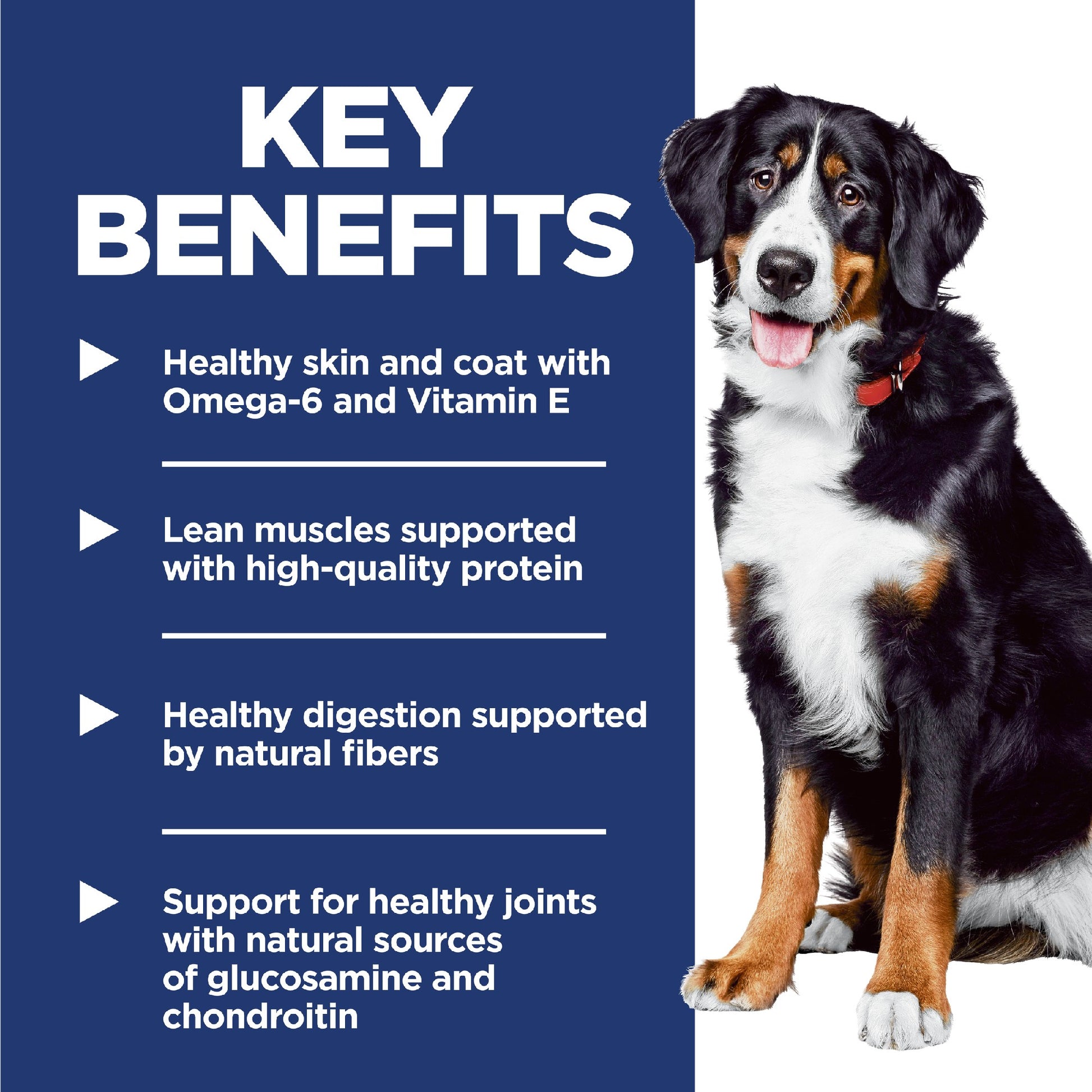 Science Diet Dog Adult Large Breed 12kg