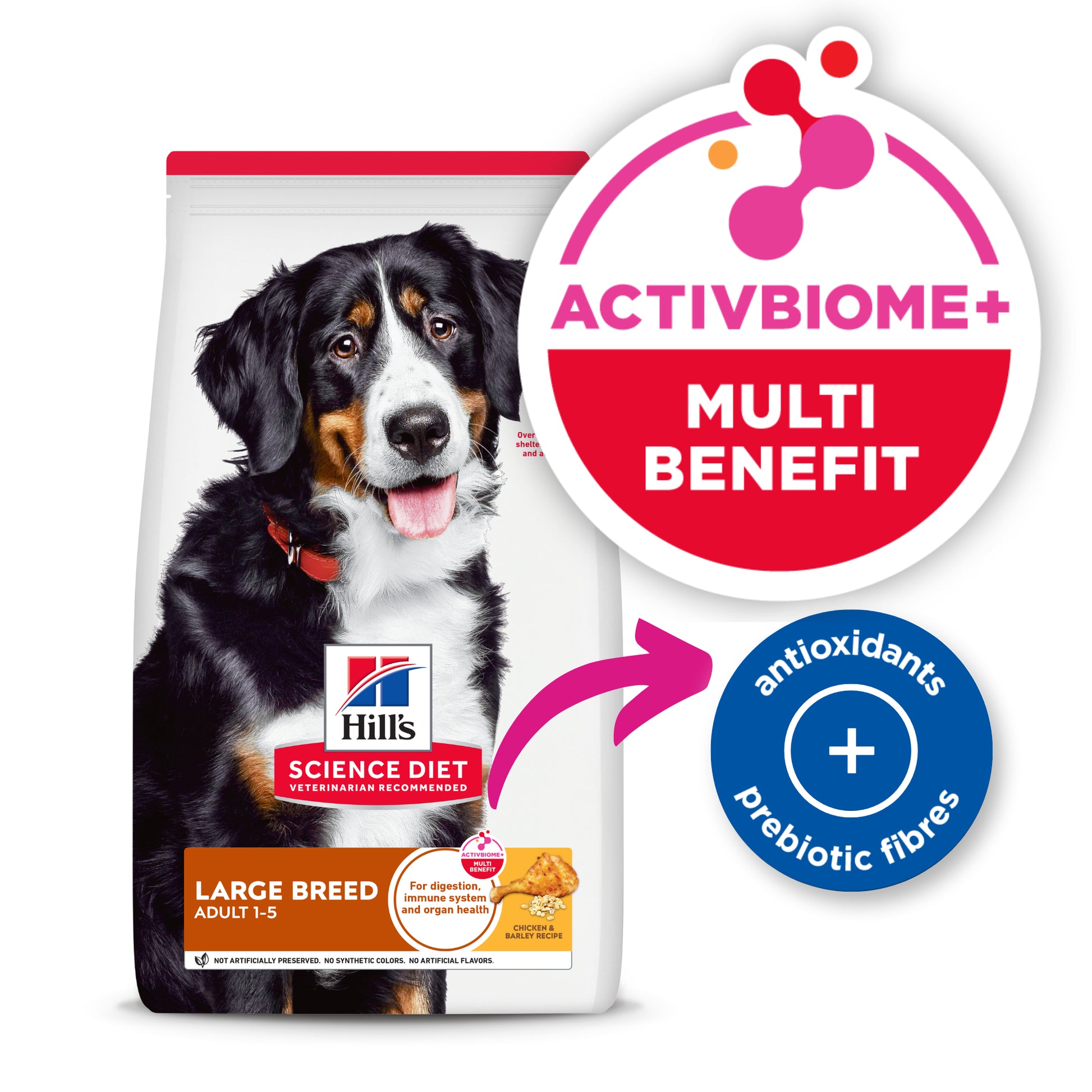 Science Diet Dog Adult Large Breed 12kg