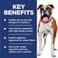 Science Diet Dog Light 12kg