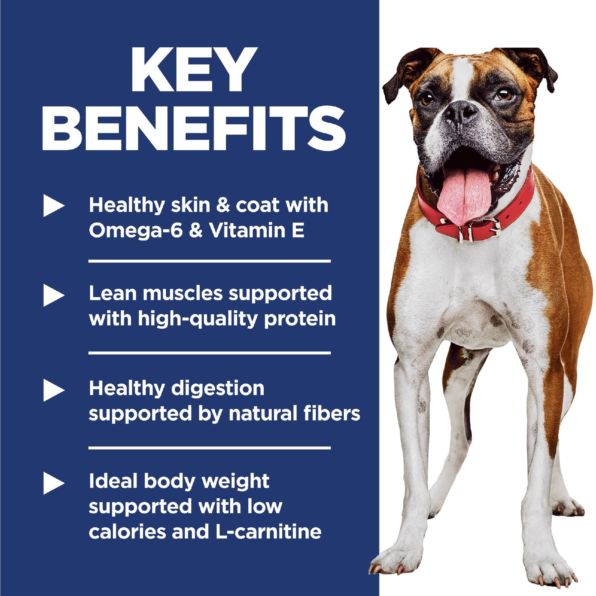 Science Diet Dog Light 12kg
