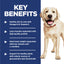 Science Diet Dog Light Large Breed 12kg