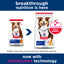 Science Diet Dog Mature 12kg