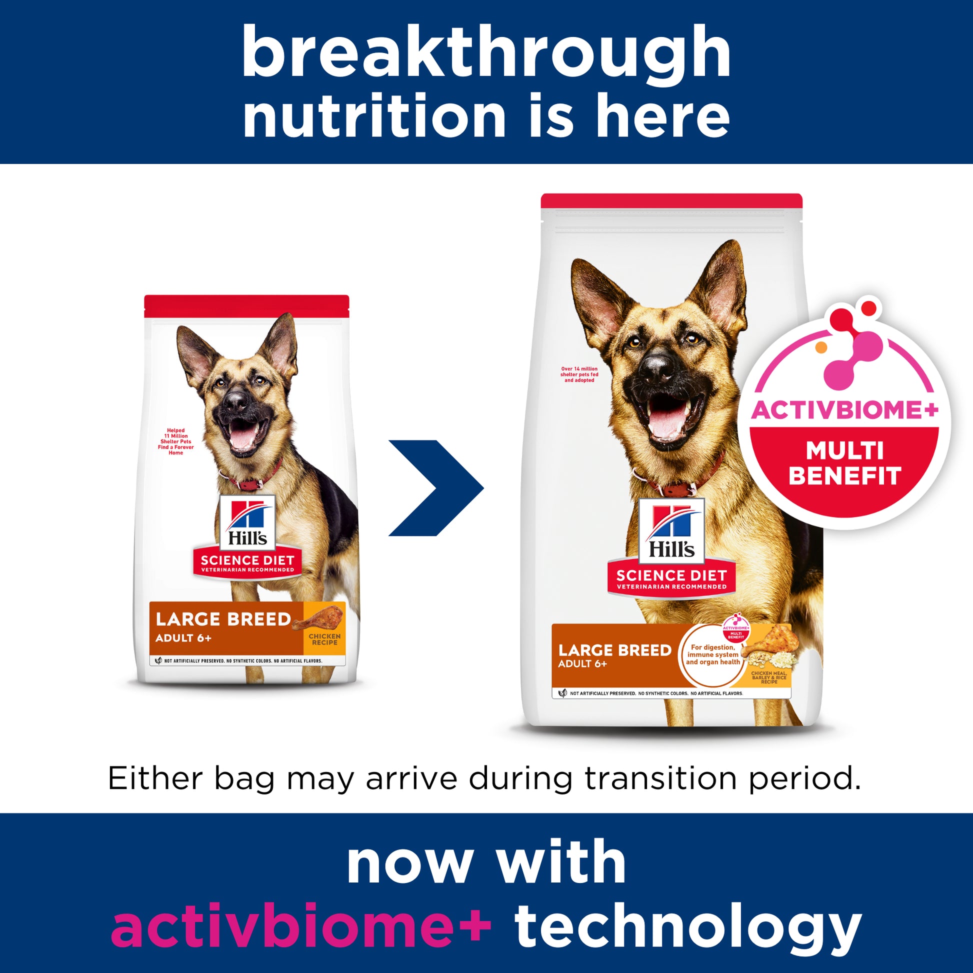 Science Diet Dog Mature Large Breed 12kg