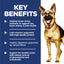 Science Diet Dog Mature Large Breed 12kg