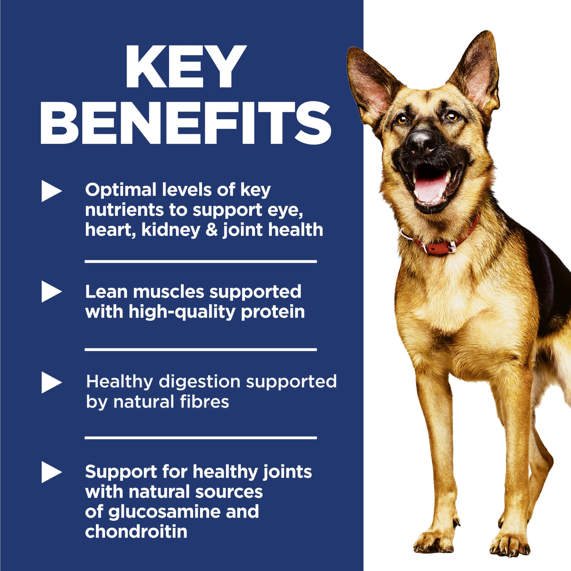 Science Diet Dog Mature Large Breed 12kg